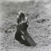Mother di Maurizio Cattelan