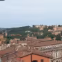 Perugia