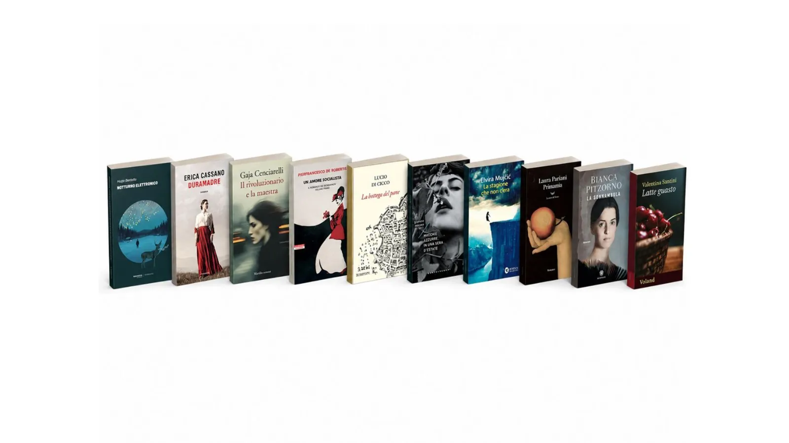 dieci libri finalisti candidati al premio letterario nazionale clara sereni